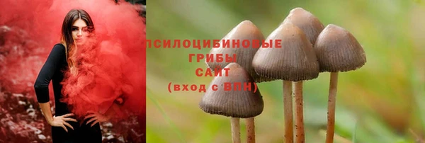 Альфа ПВП Зеленокумск